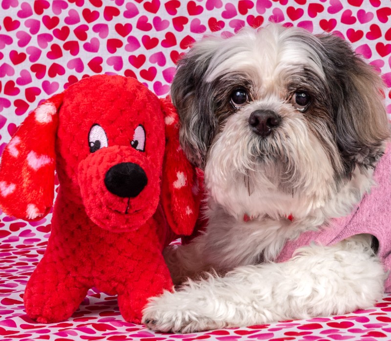 SweetSyd uploaded   5 year/s ago