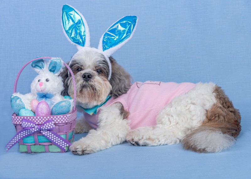 SweetSyd uploaded   4 year/s ago