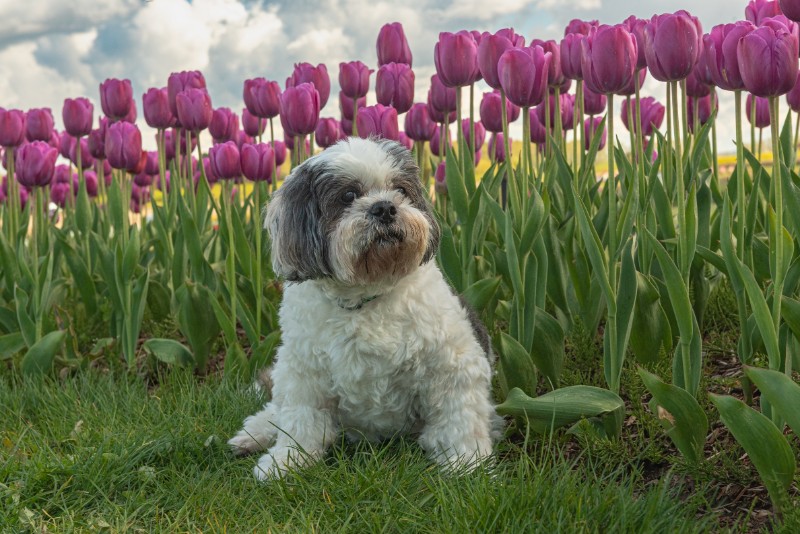 SweetSyd uploaded   3 year/s ago