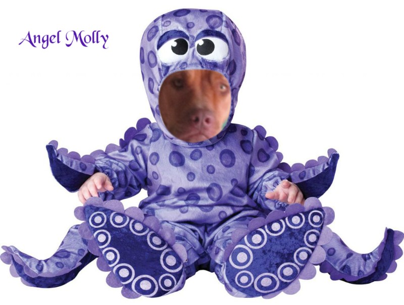 Angel Molly of the TiaAnne family