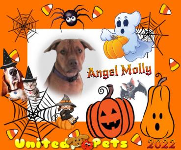 Angel Molly of the TiaAnne family