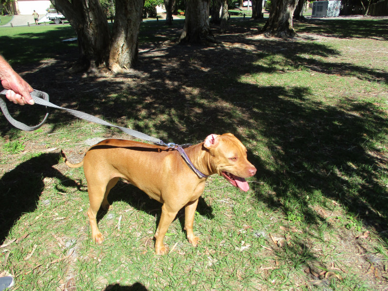 TiaAnne uploaded   4 year/s ago