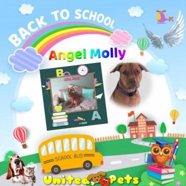 Angel Molly of the TiaAnne family