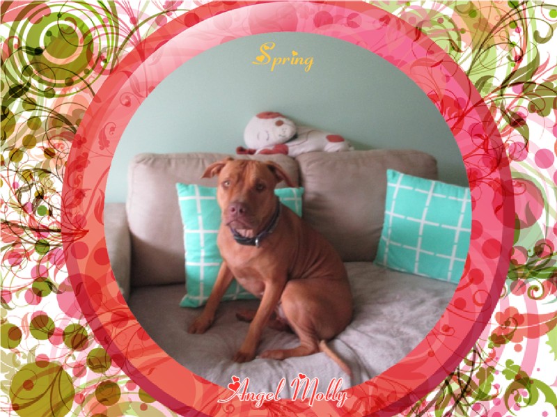 Angel Molly of the TiaAnne family