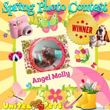 Angel Molly of the TiaAnne family