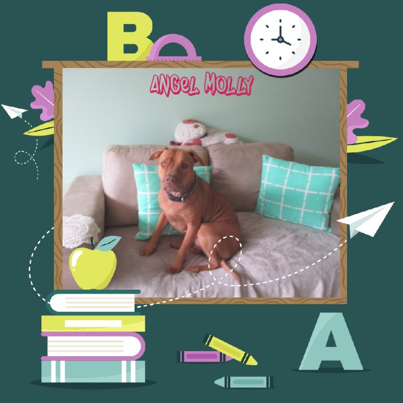 Angel Molly of the TiaAnne family