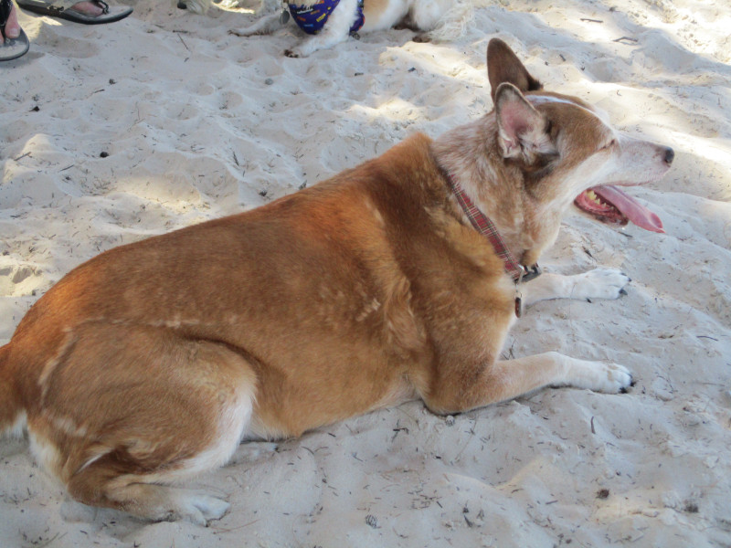 TiaAnne uploaded   5 year/s ago