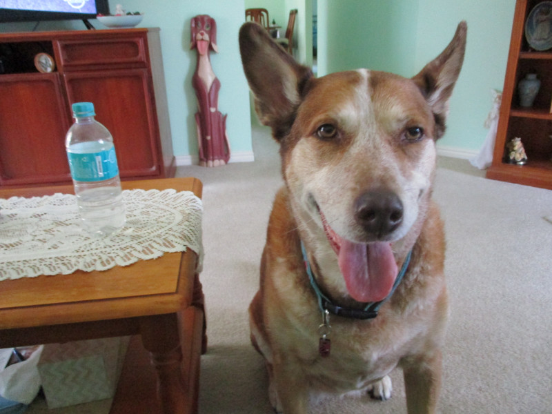 TiaAnne uploaded   8 year/s ago