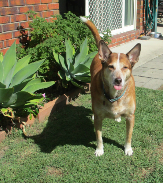 TiaAnne uploaded   7 year/s ago