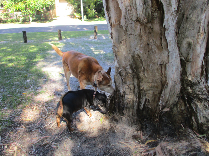 TiaAnne uploaded   4 year/s ago