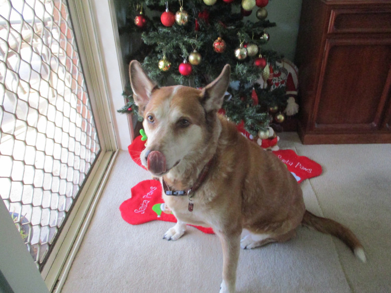 TiaAnne uploaded   6 year/s ago