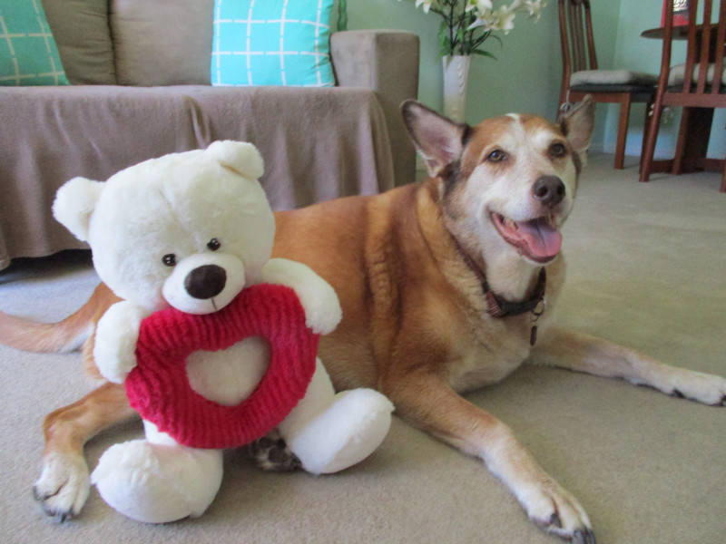 TiaAnne uploaded   5 year/s ago