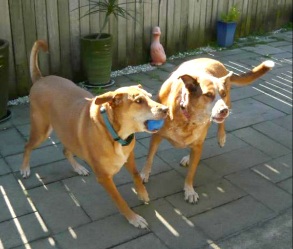 TiaAnne uploaded   7 year/s ago