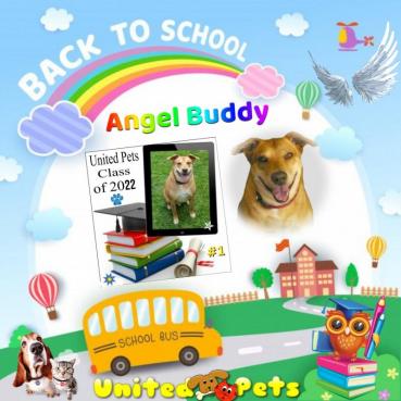 Angel Buddy of the TiaAnne family