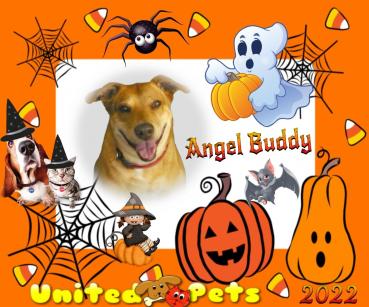 Angel Buddy of the TiaAnne family