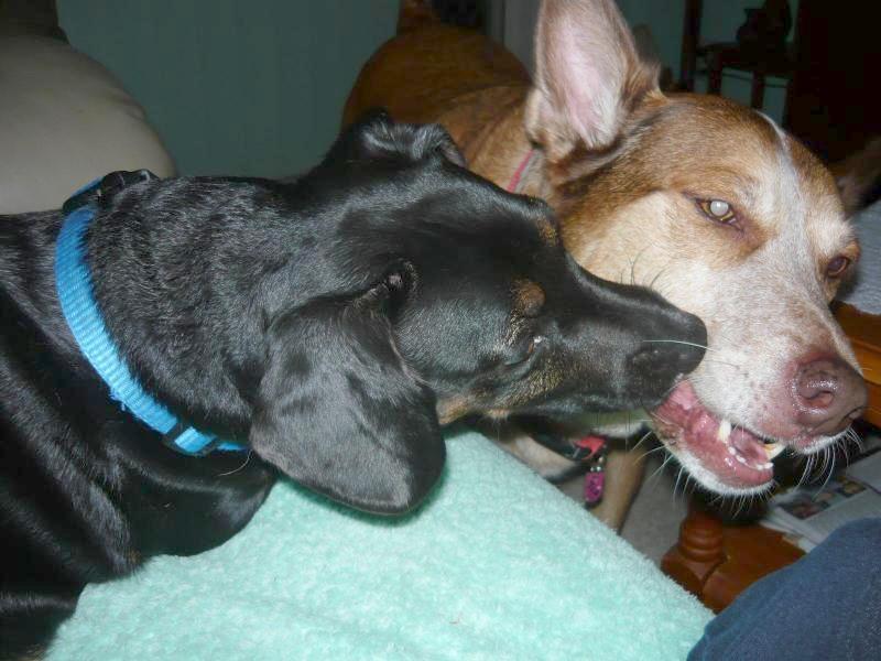 TiaAnne uploaded   9 year/s ago