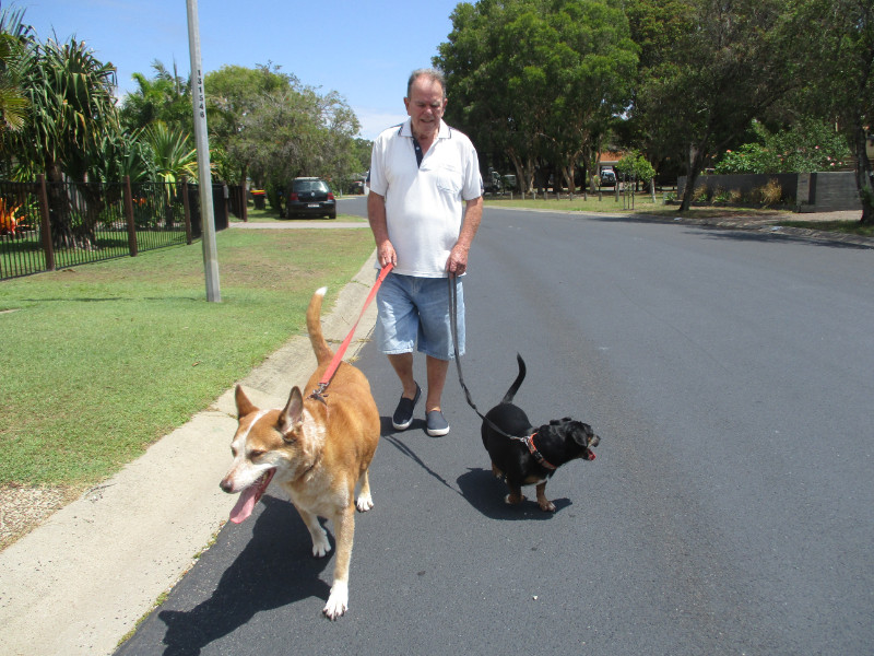 TiaAnne uploaded   6 year/s ago