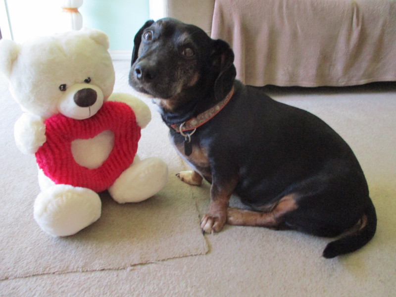 TiaAnne uploaded   5 year/s ago