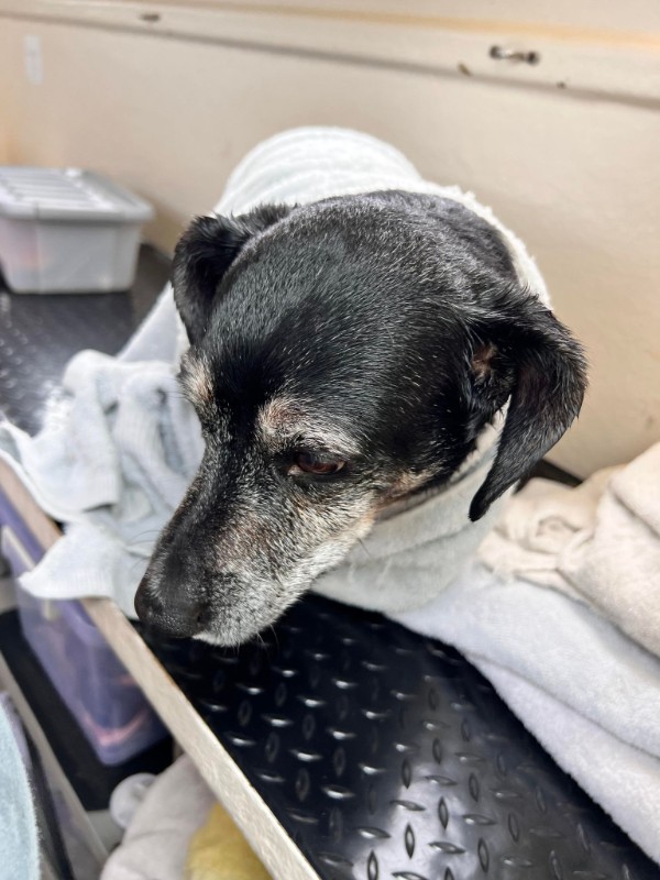 William of the TiaAnne family