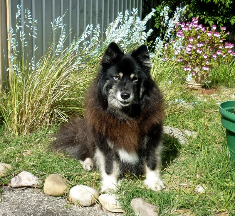 Trish uploaded   4 year/s ago