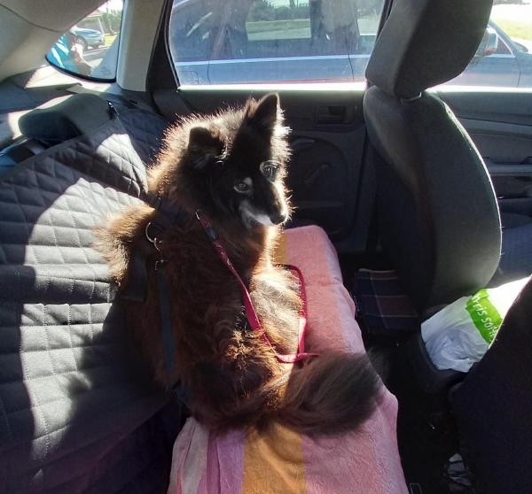 Trish uploaded   1 year/s ago