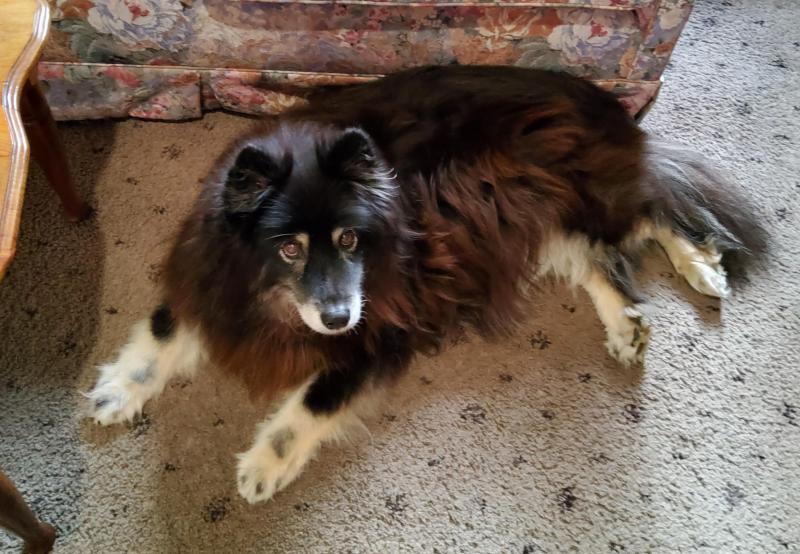 Trish uploaded   1 year/s ago