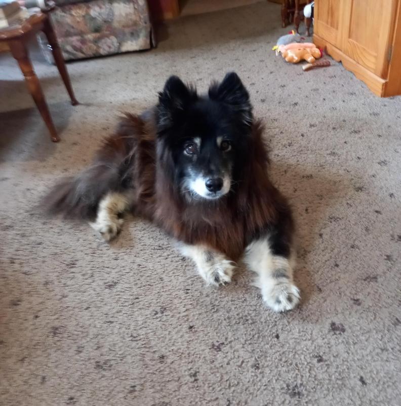 Trish uploaded   1 year/s ago