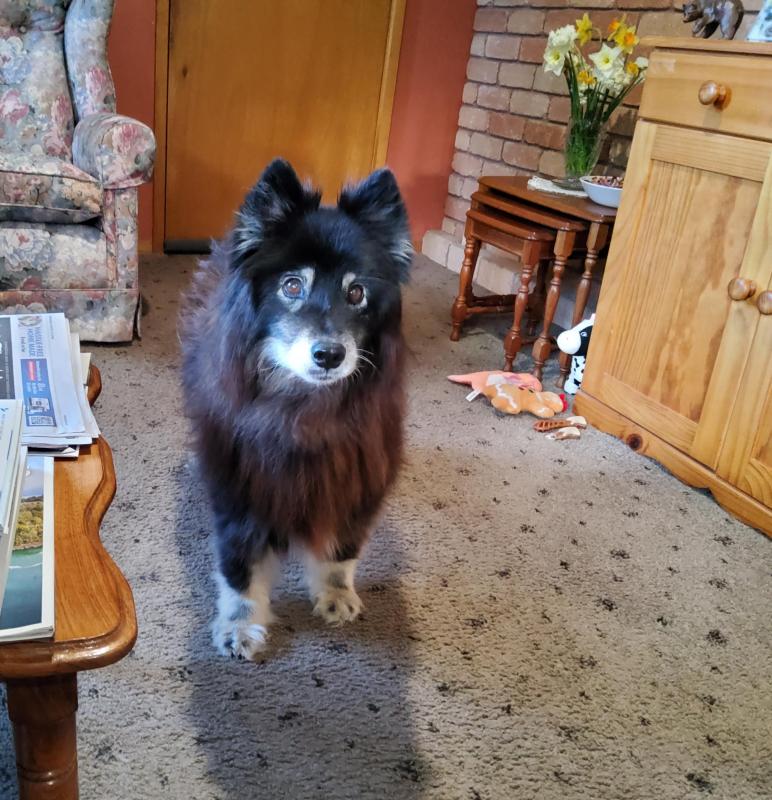 Trish uploaded   240  day/s  ago