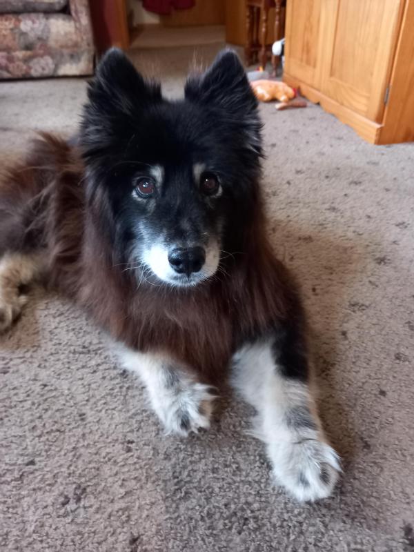 Trish uploaded   1 year/s ago