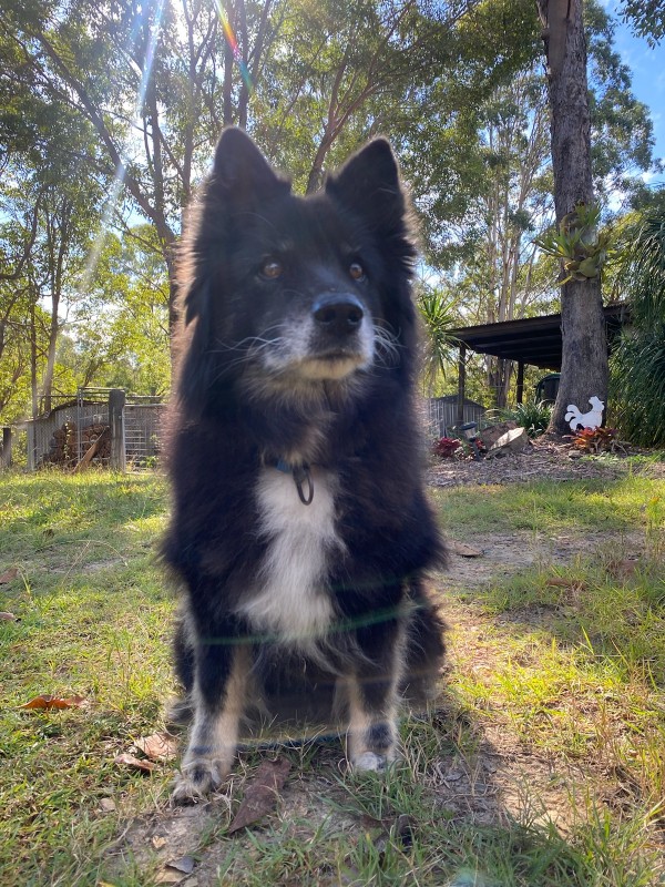 Trish uploaded   3 year/s ago