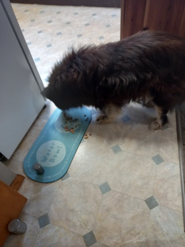 Trish uploaded   276  day/s  ago