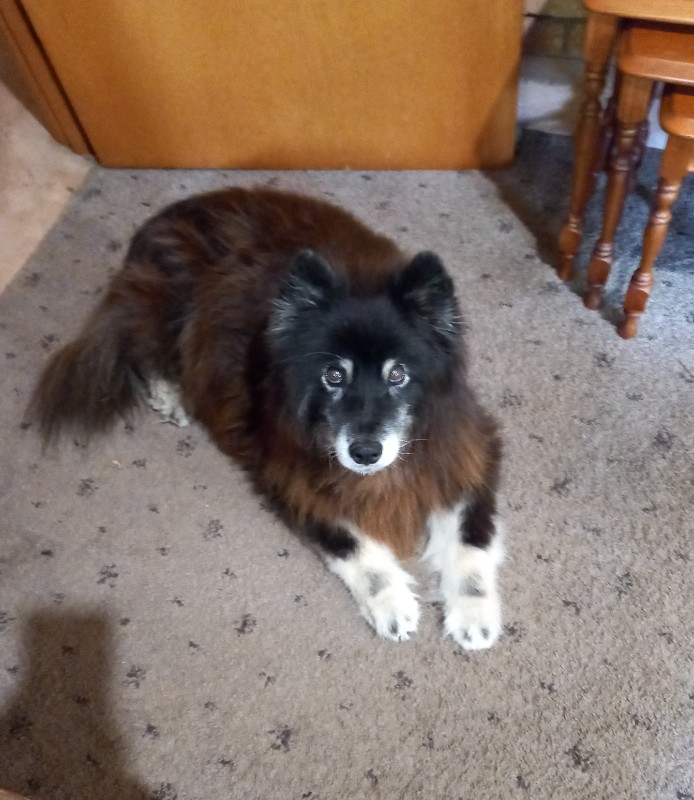 Trish uploaded   276  day/s  ago