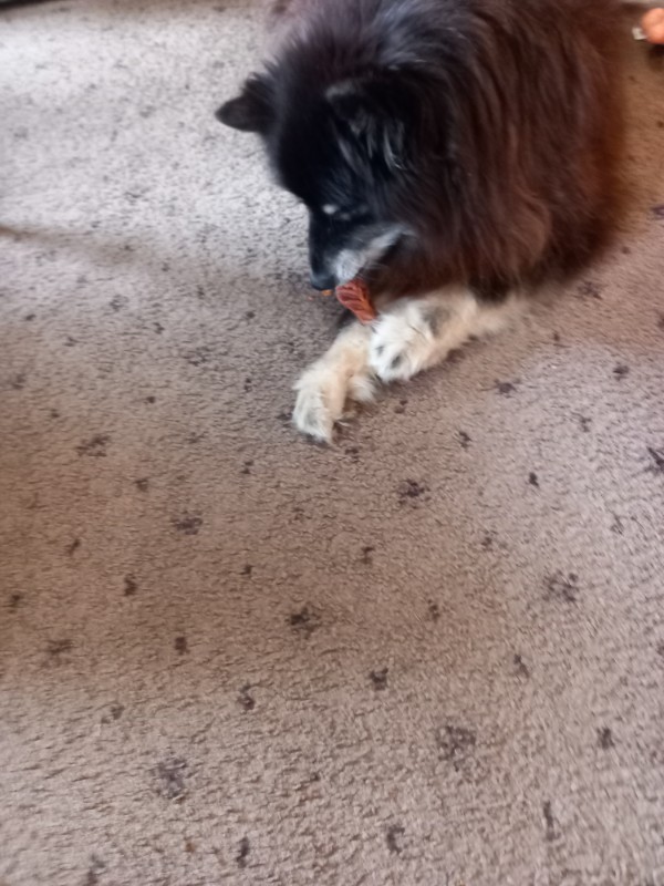 Trish uploaded   276  day/s  ago