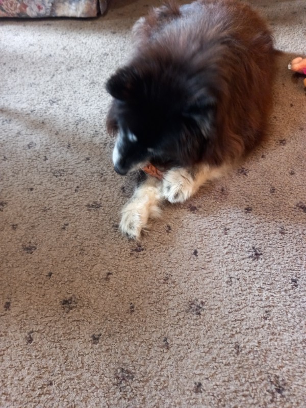 Trish uploaded   276  day/s  ago