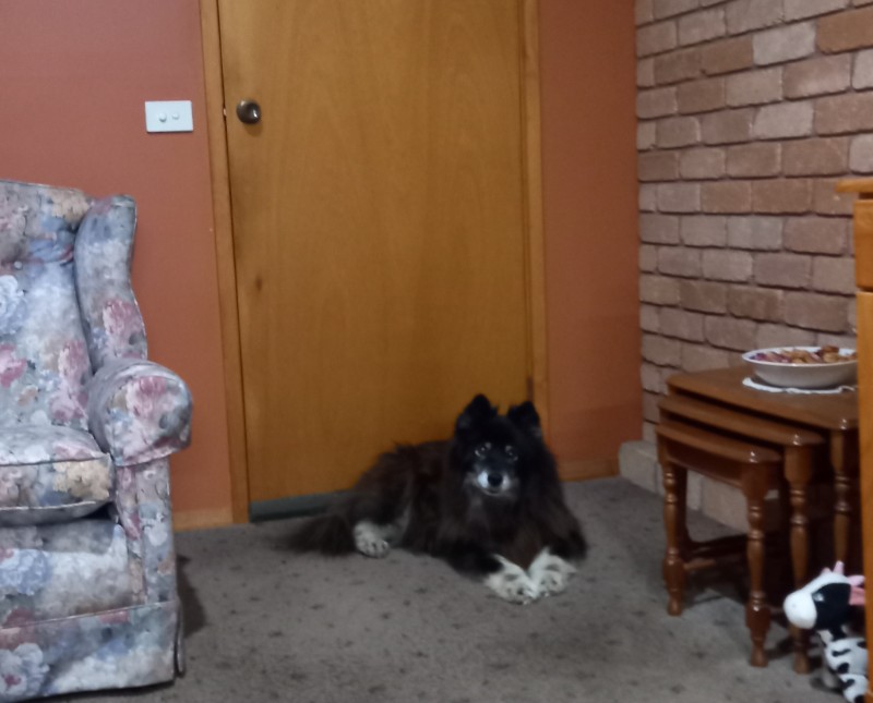 Trish uploaded   276  day/s  ago