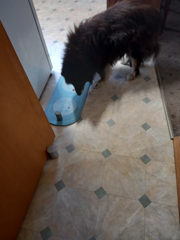 Trish uploaded   276  day/s  ago