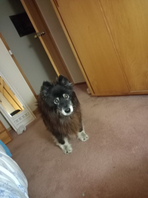 Trish uploaded   276  day/s  ago