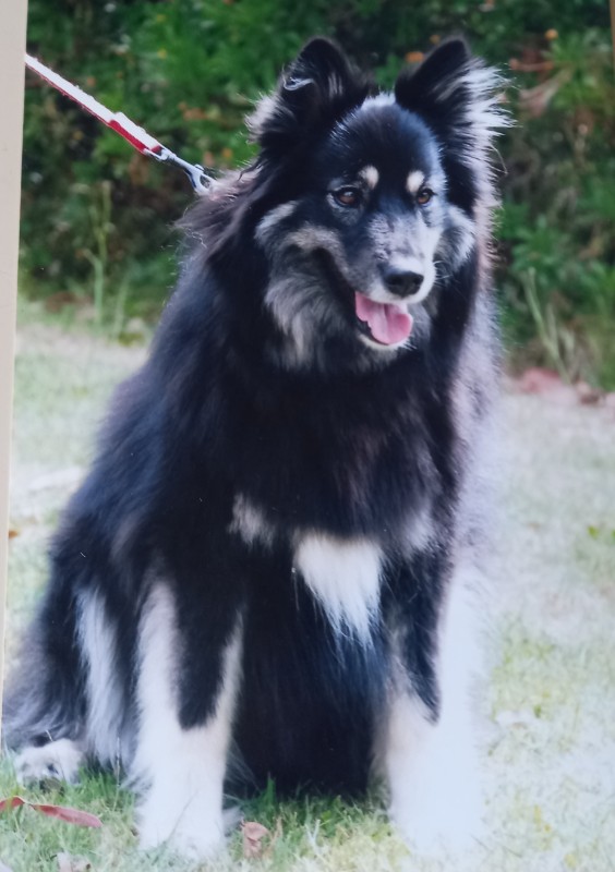 Tuuli of the Trish family