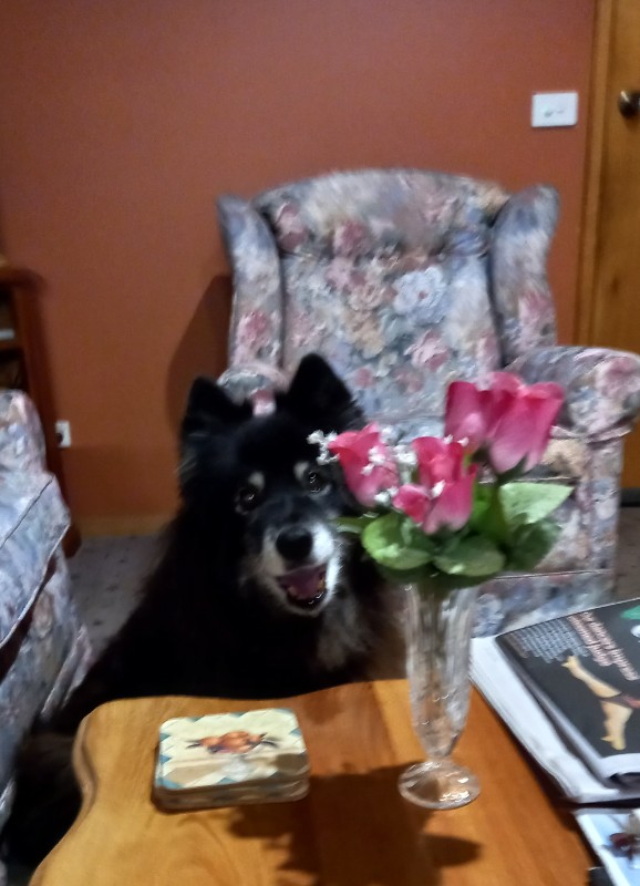 Trish uploaded   276  day/s  ago