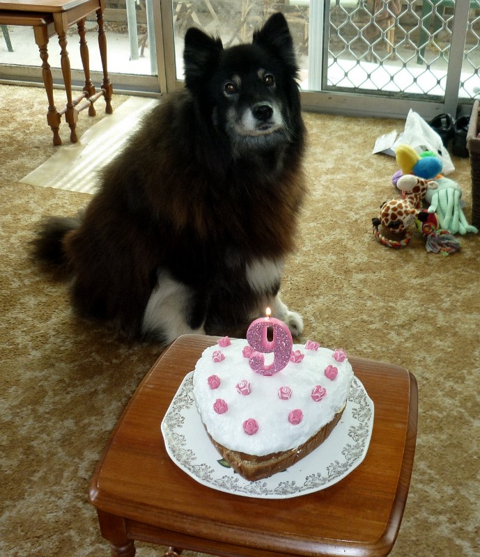 Trish uploaded   6 year/s ago