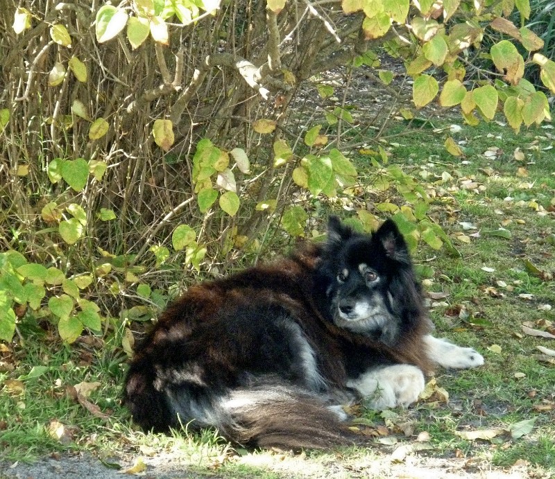 Trish uploaded   1 year/s ago