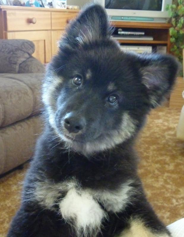 Trish uploaded   1 year/s ago