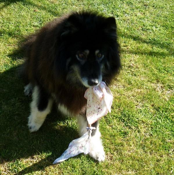 Trish uploaded   1 year/s ago