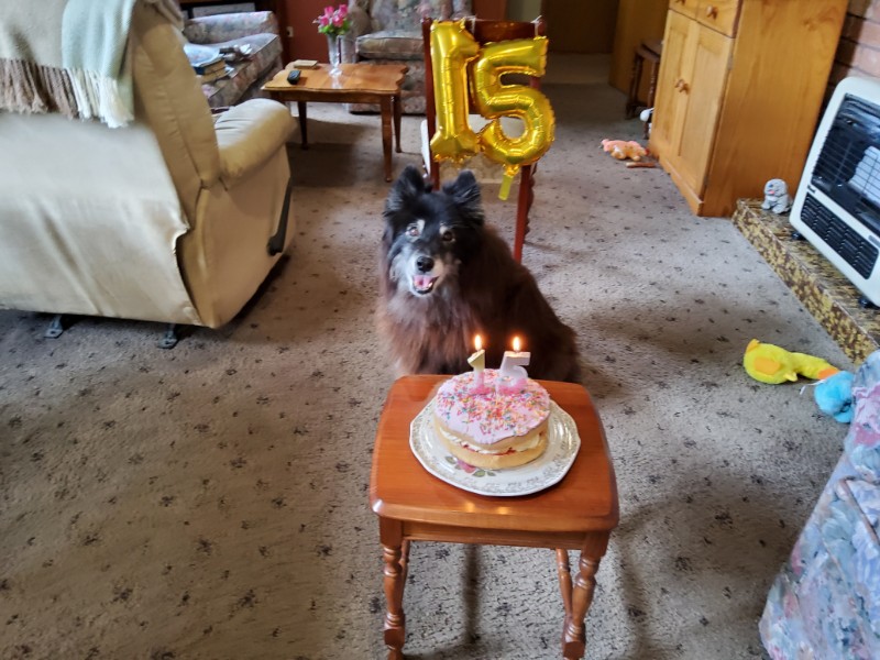 Trish uploaded   186  day/s  ago