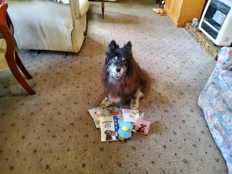 Trish uploaded   186  day/s  ago