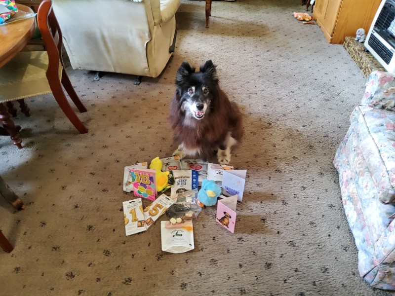 Trish uploaded   186  day/s  ago