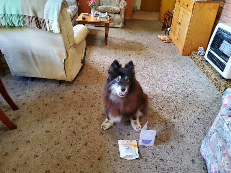 Trish uploaded   186  day/s  ago