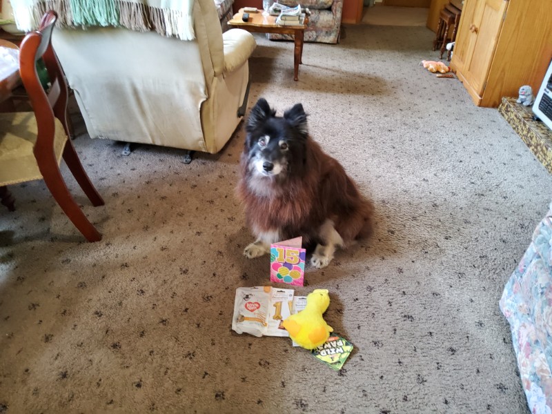 Trish uploaded   186  day/s  ago