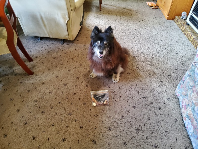 Trish uploaded   186  day/s  ago