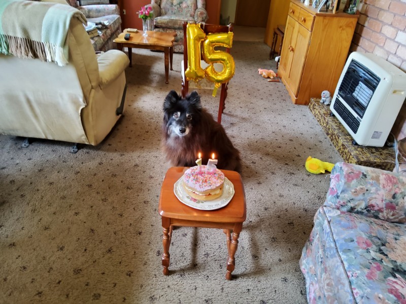 Trish uploaded   186  day/s  ago